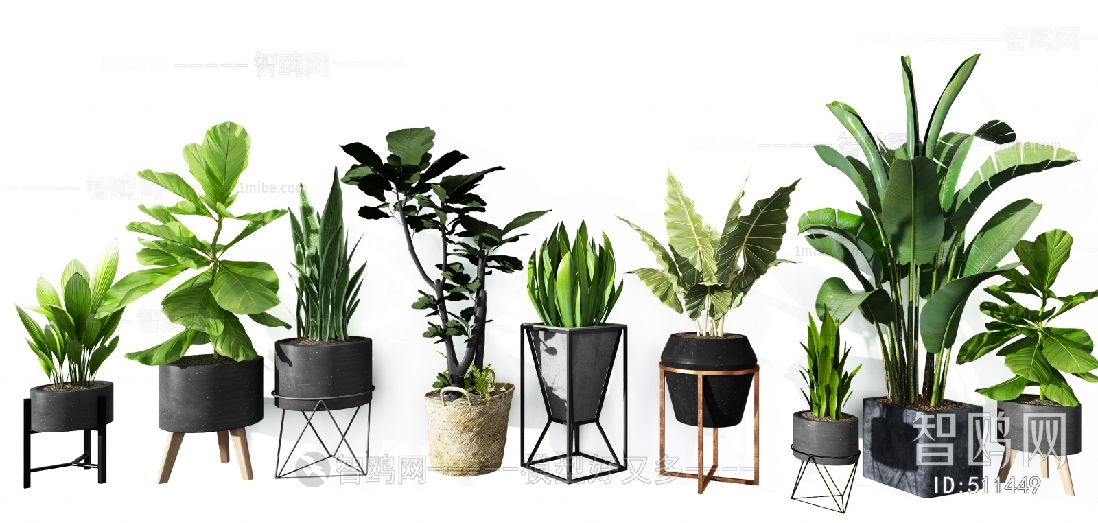 Modern Potted Green Plant