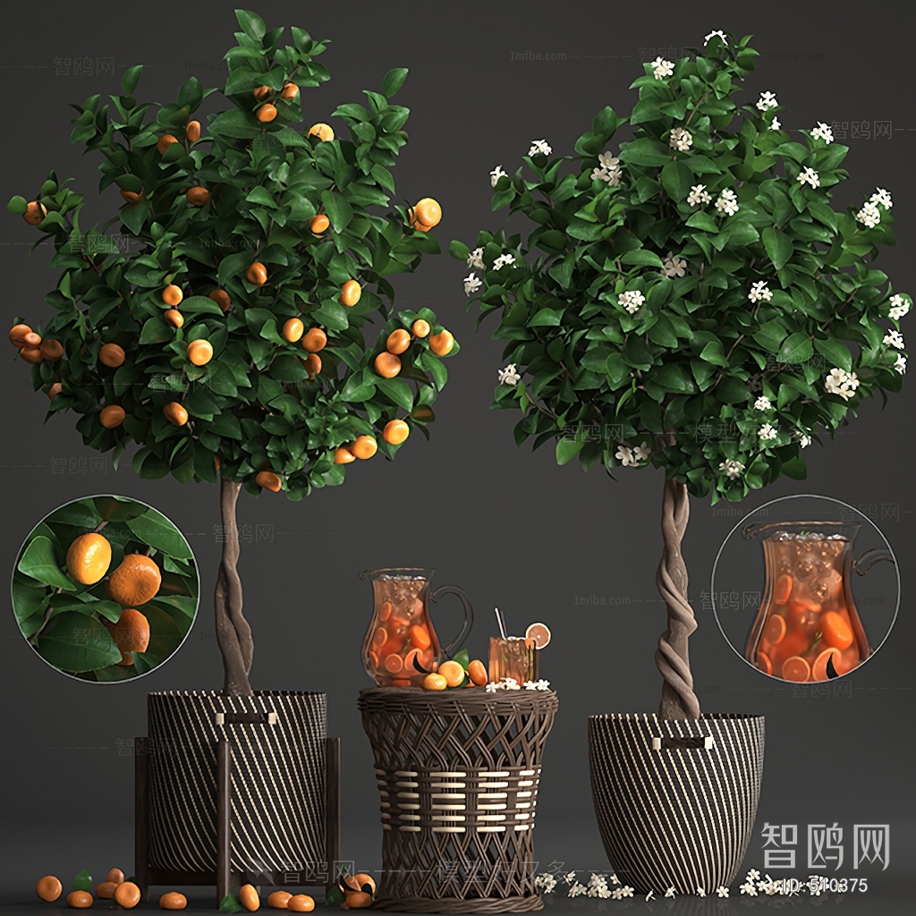 Modern Plant
