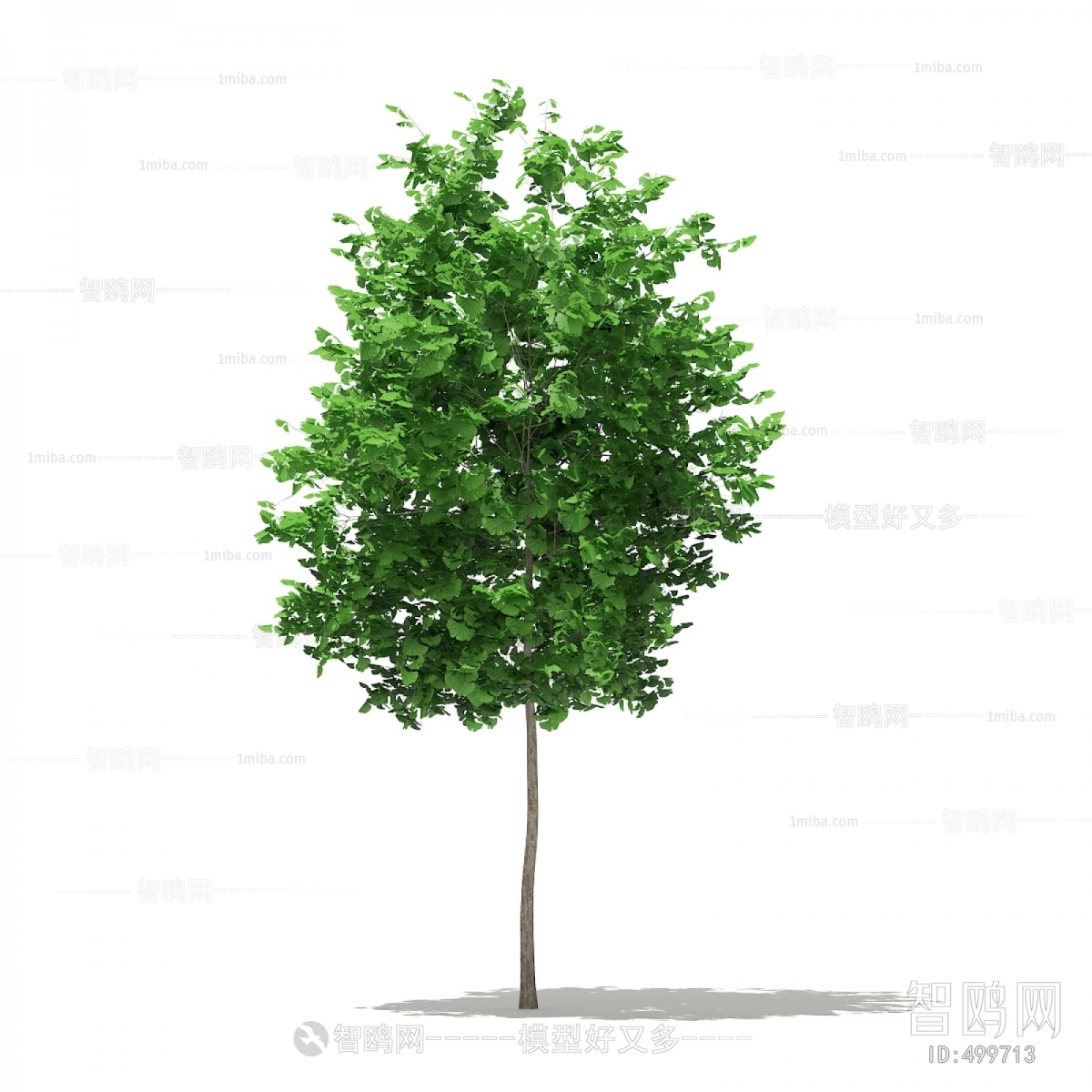 Modern Tree