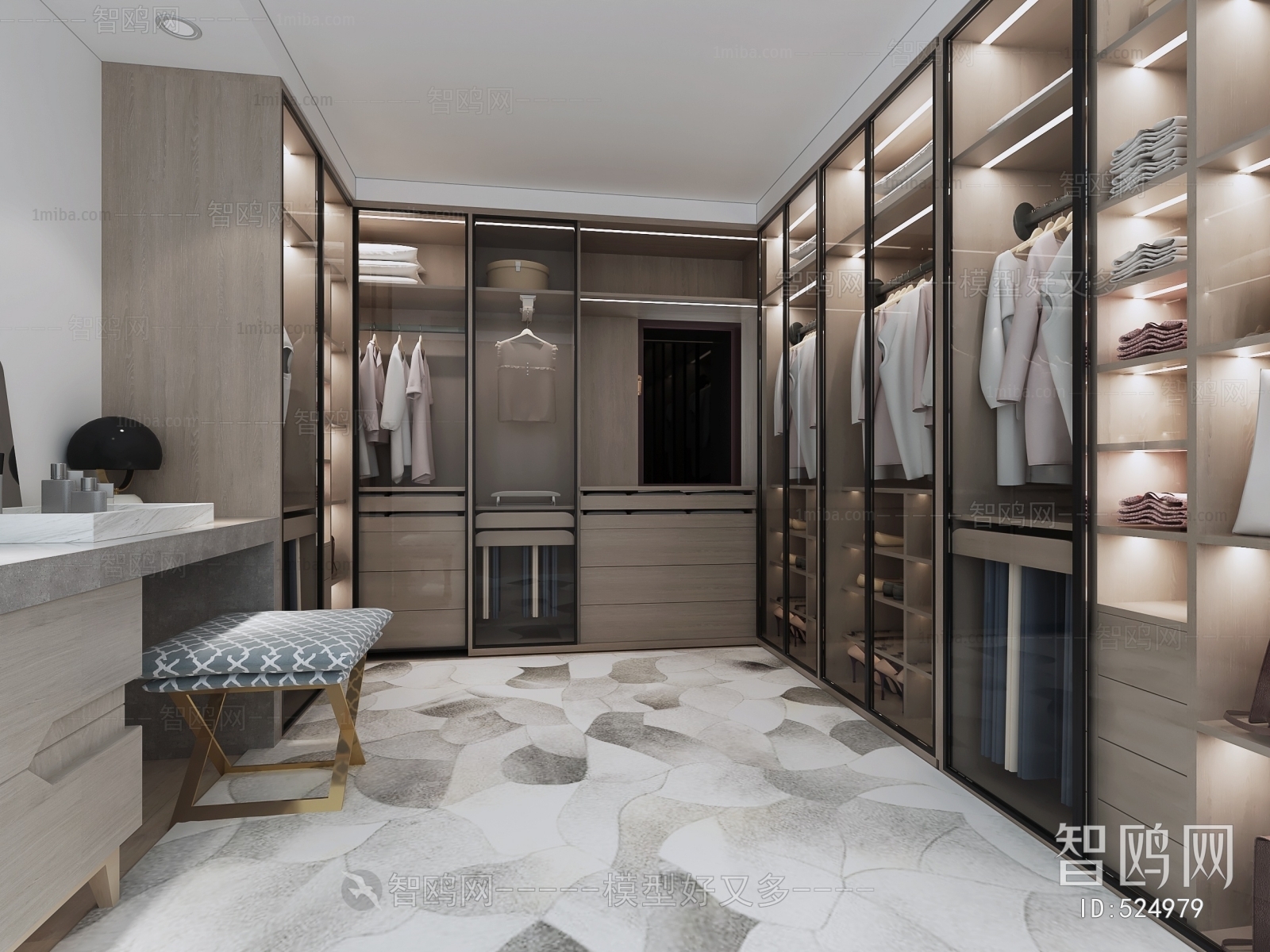 Modern Clothes Storage Area