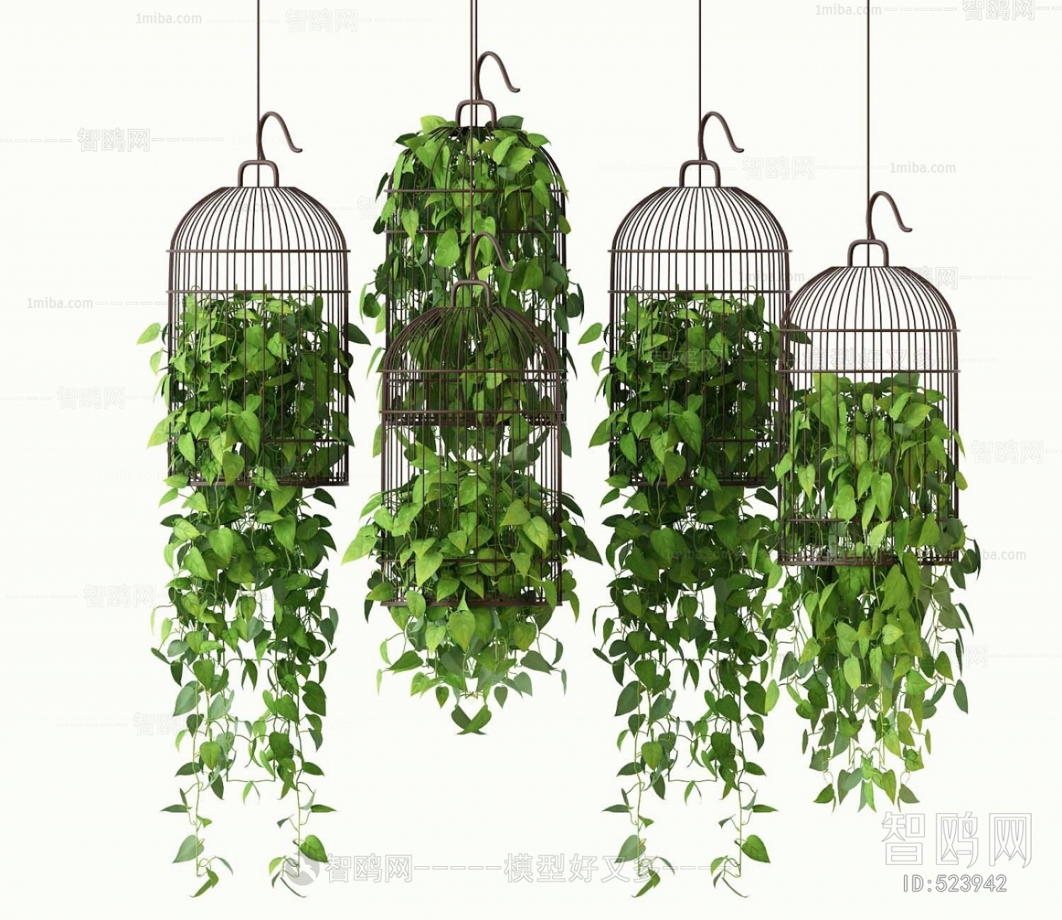 New Chinese Style Chlorophytum Comosum