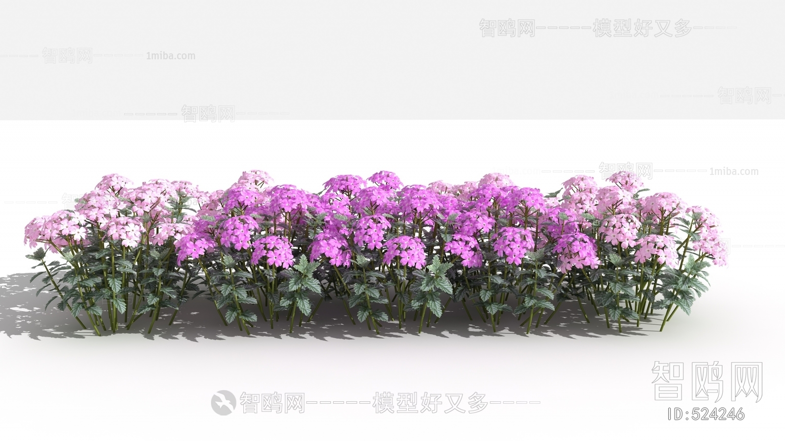 现代花草