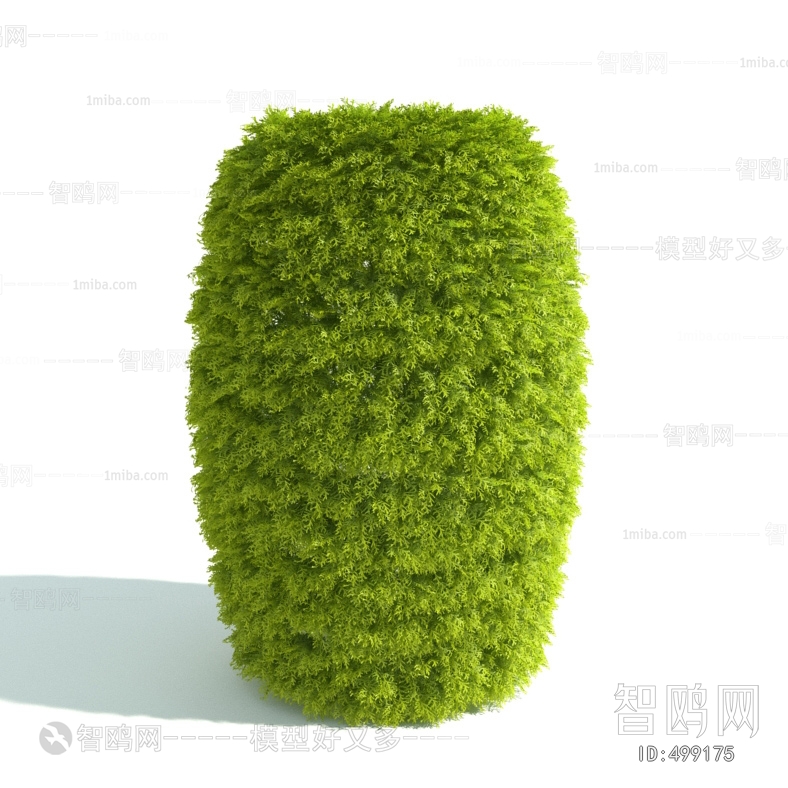 Modern Shrubbery