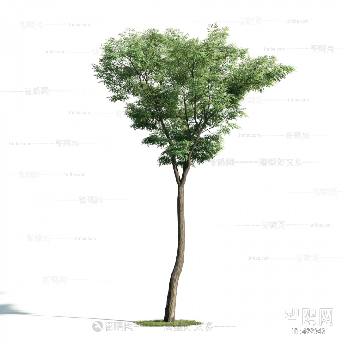 Modern Tree