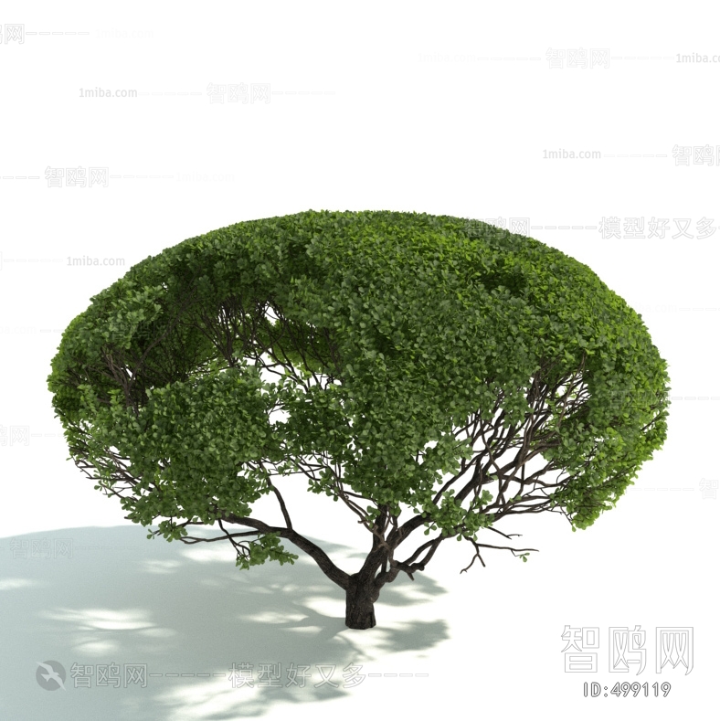 Modern Shrubbery