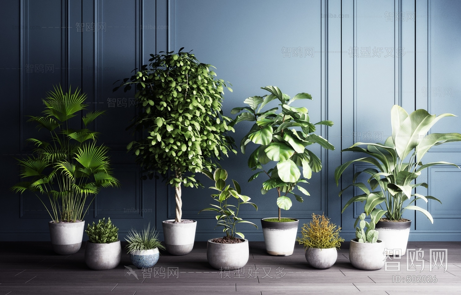 Modern Potted Green Plant