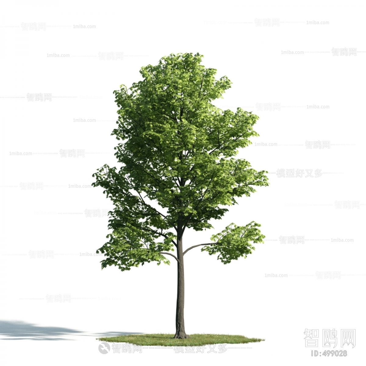 Modern Tree