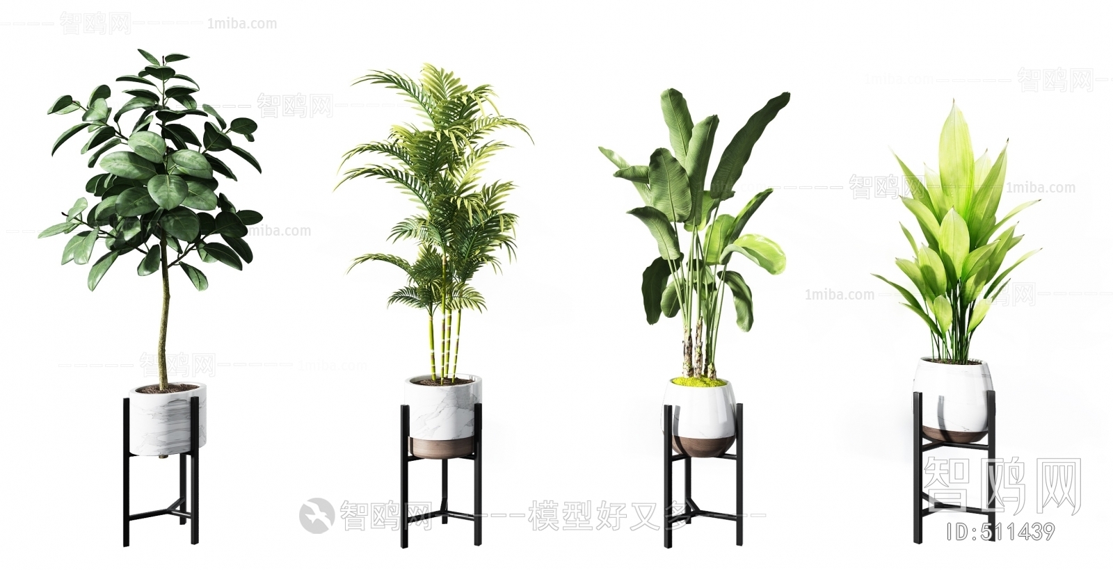 Modern Potted Green Plant