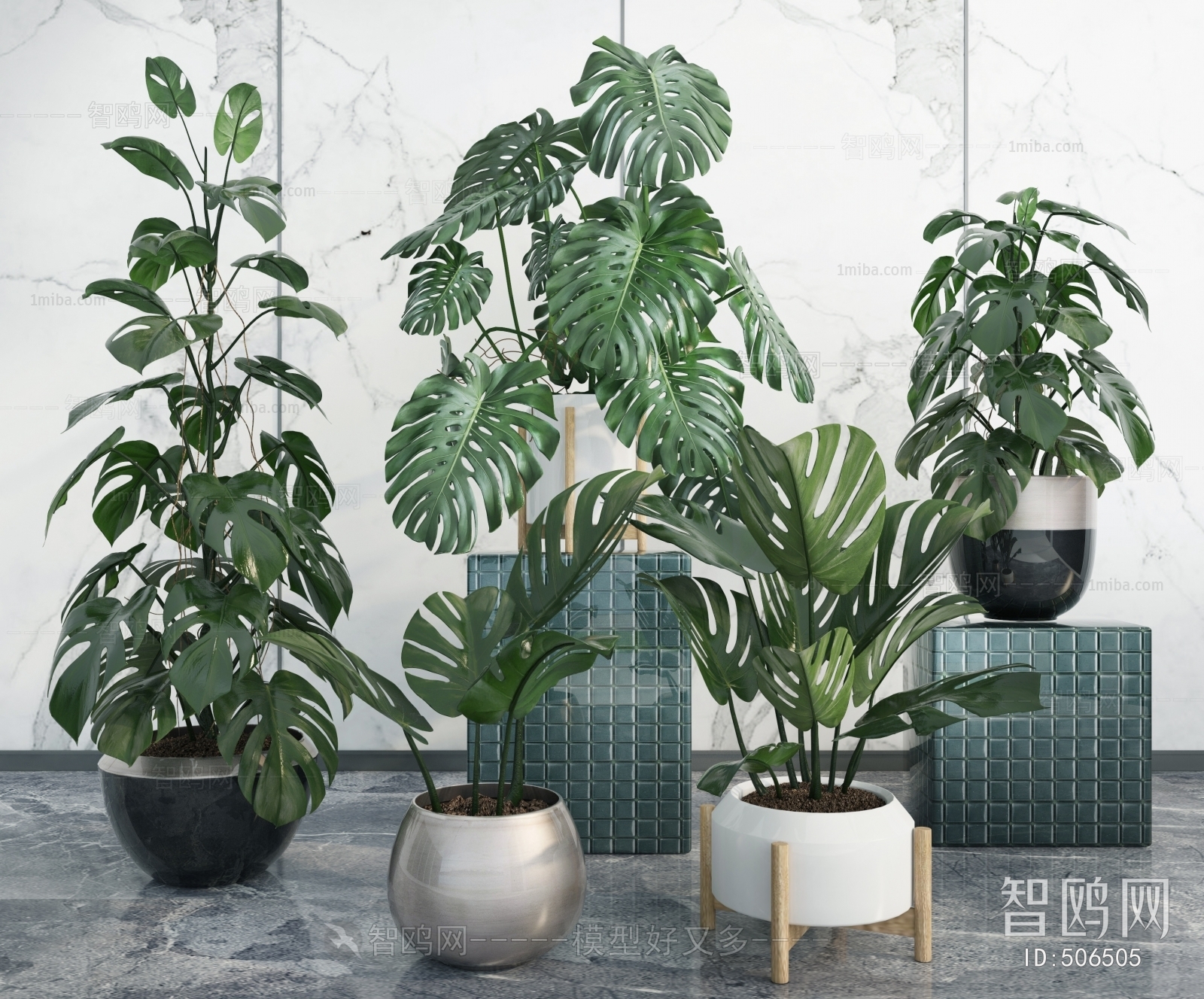 Modern Potted Green Plant