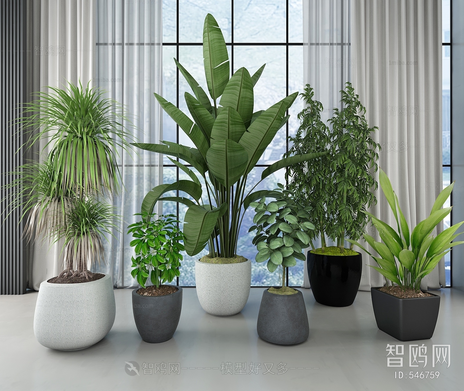 Modern Potted Green Plant