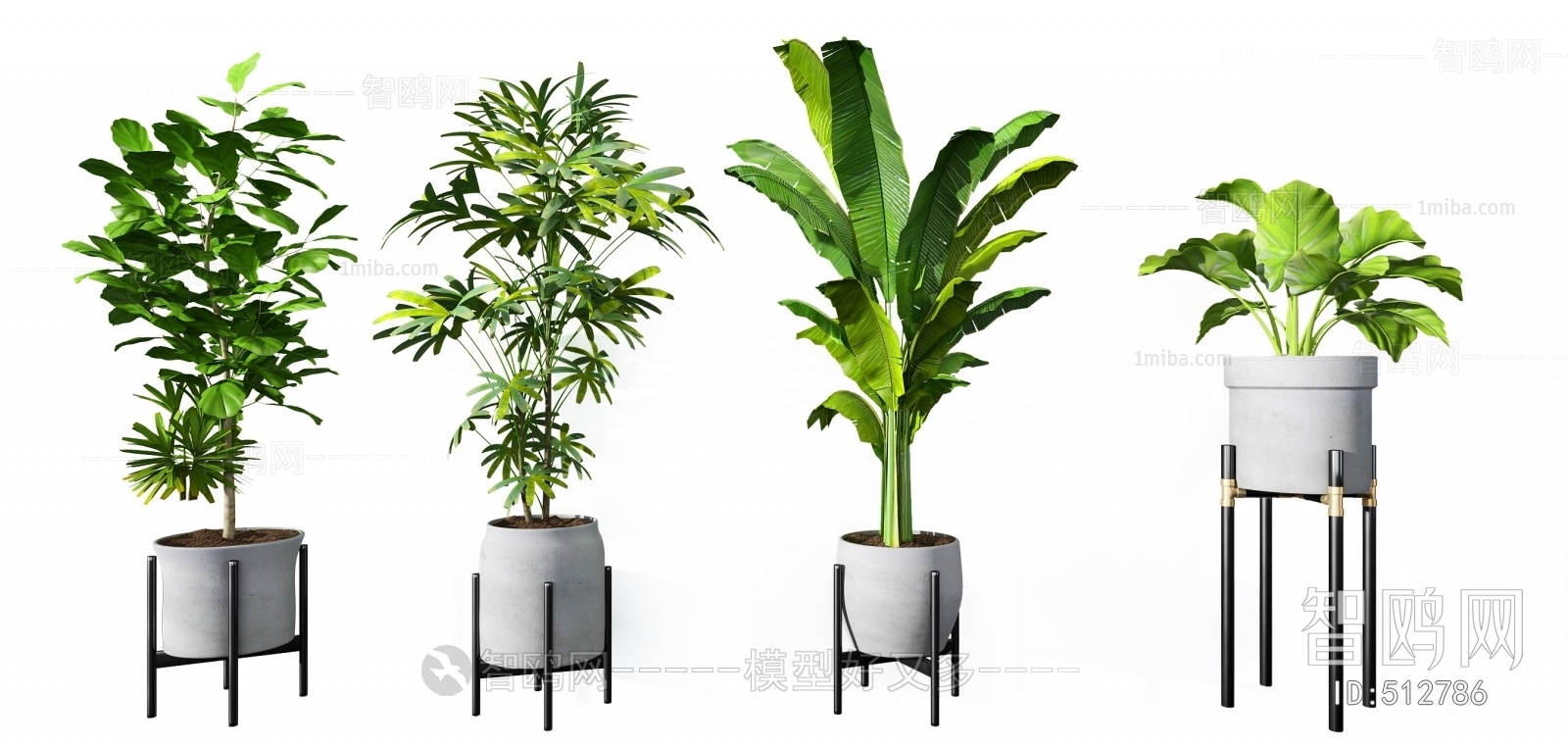 Modern Potted Green Plant