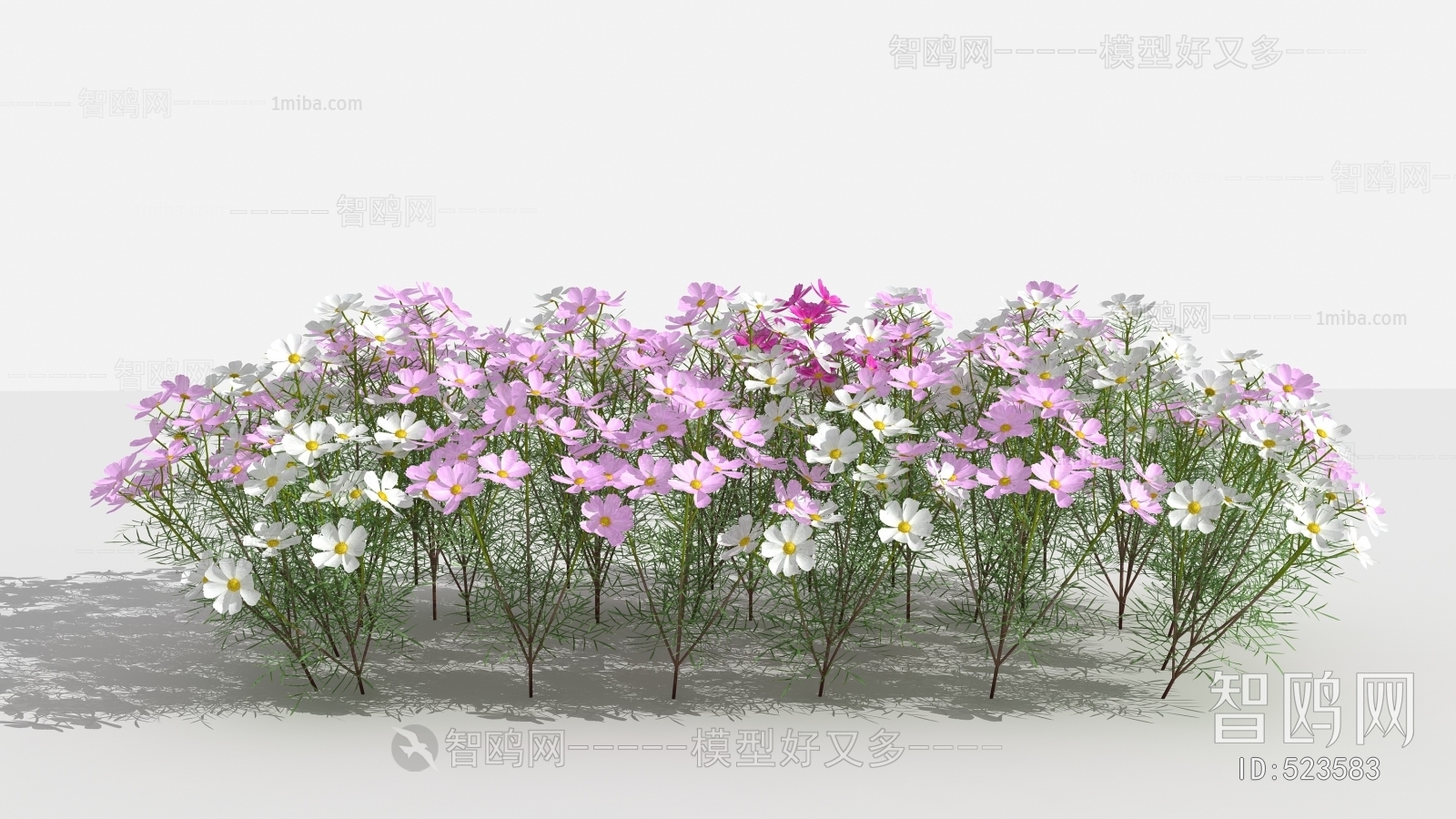 现代花草组合