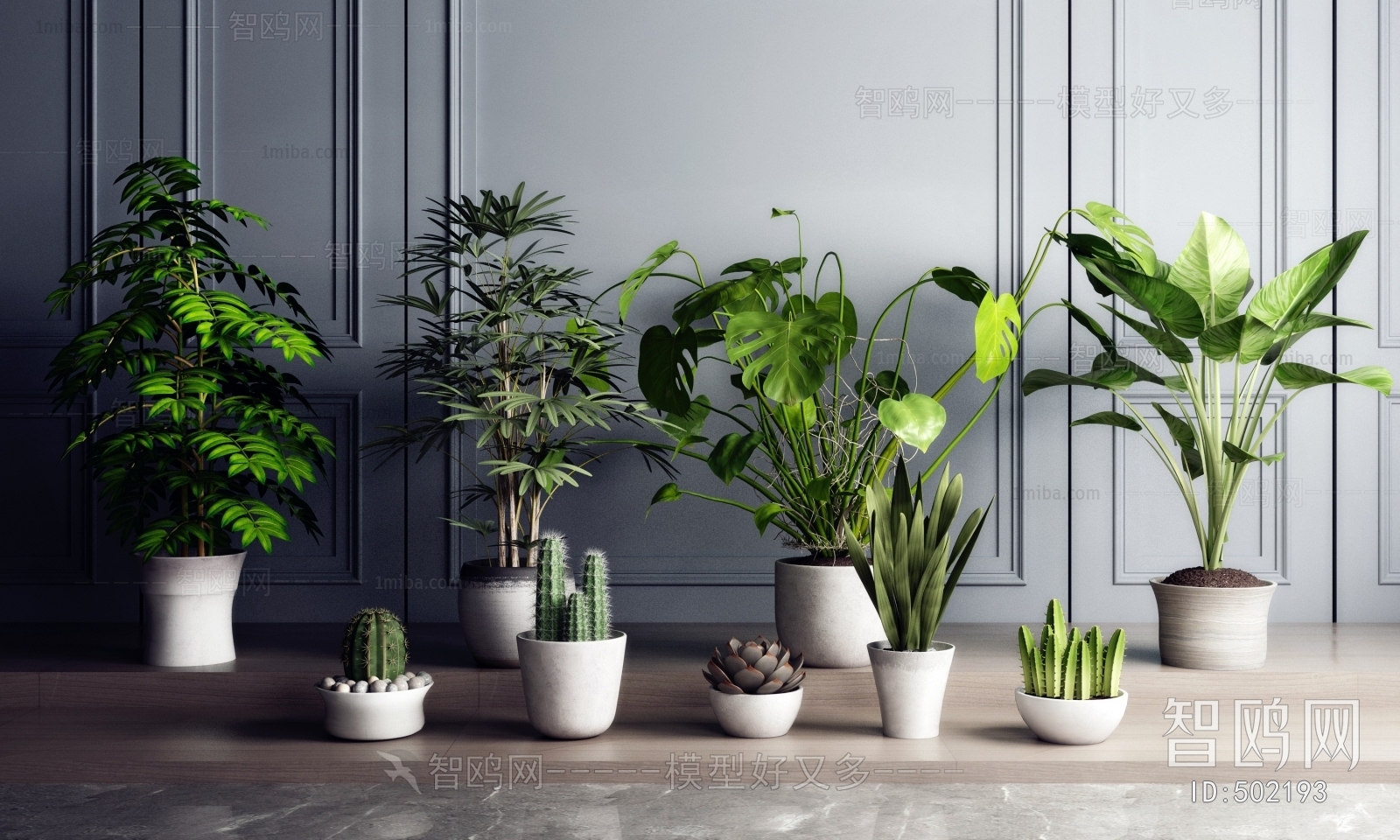 Modern Potted Green Plant