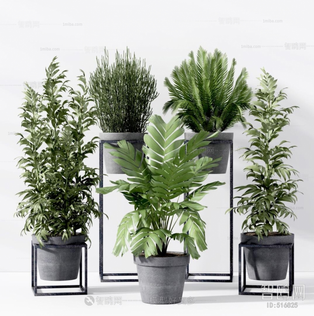 Modern Potted Green Plant