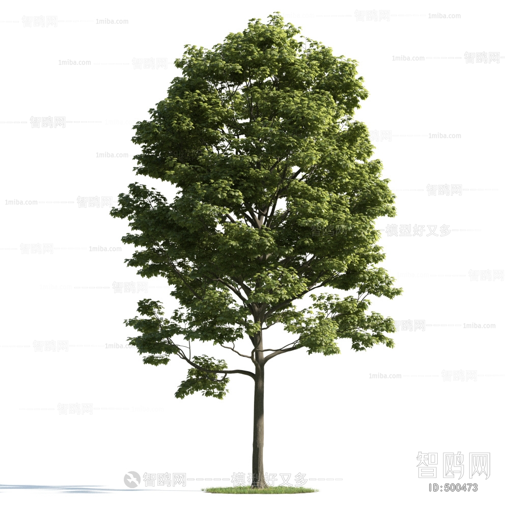 Modern Tree