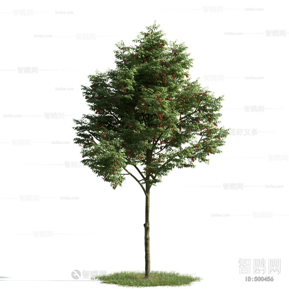 Modern Tree