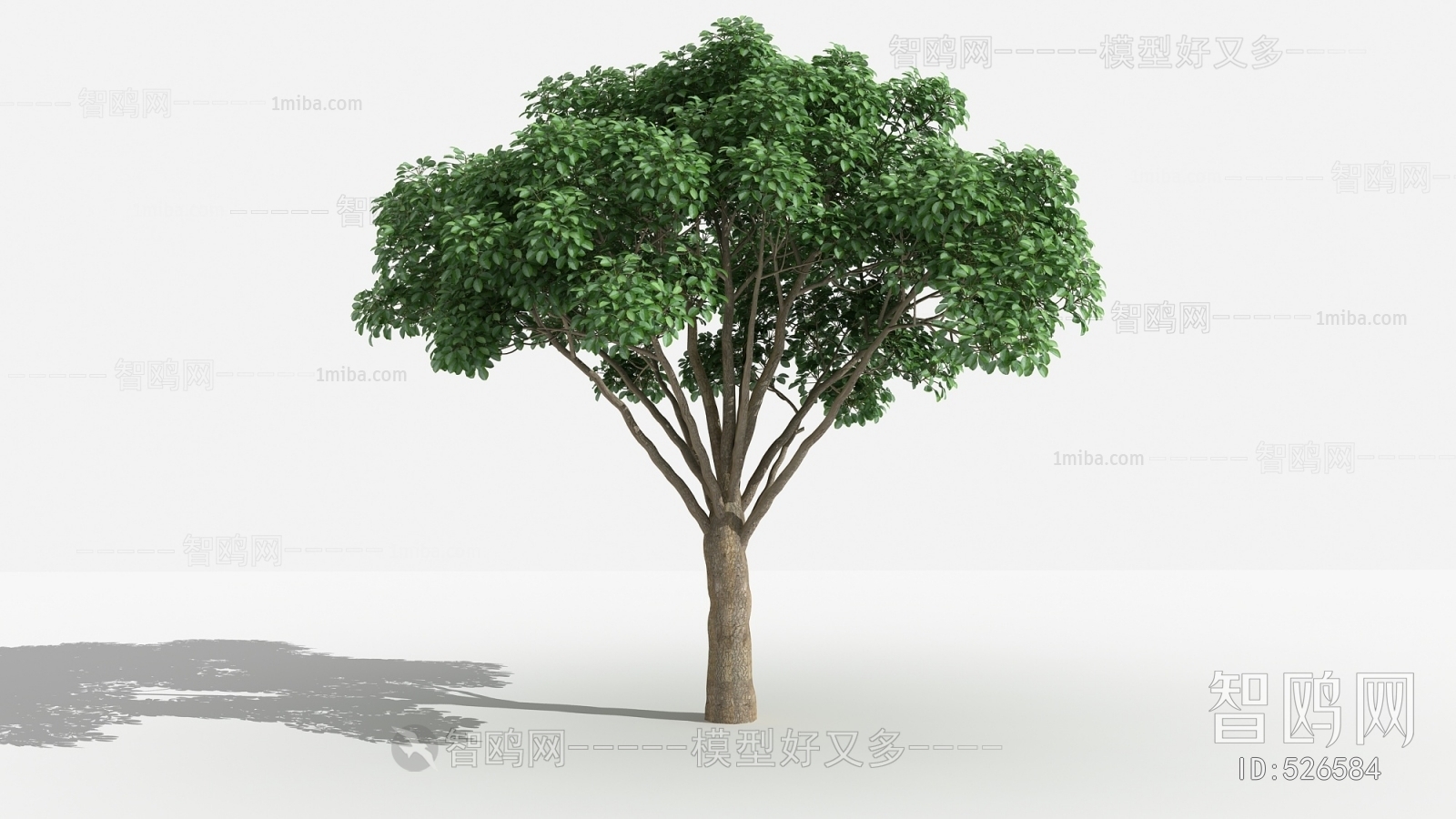 Modern Tree