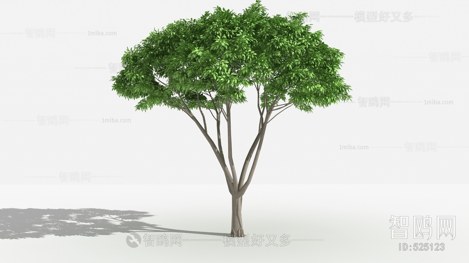 Modern Tree