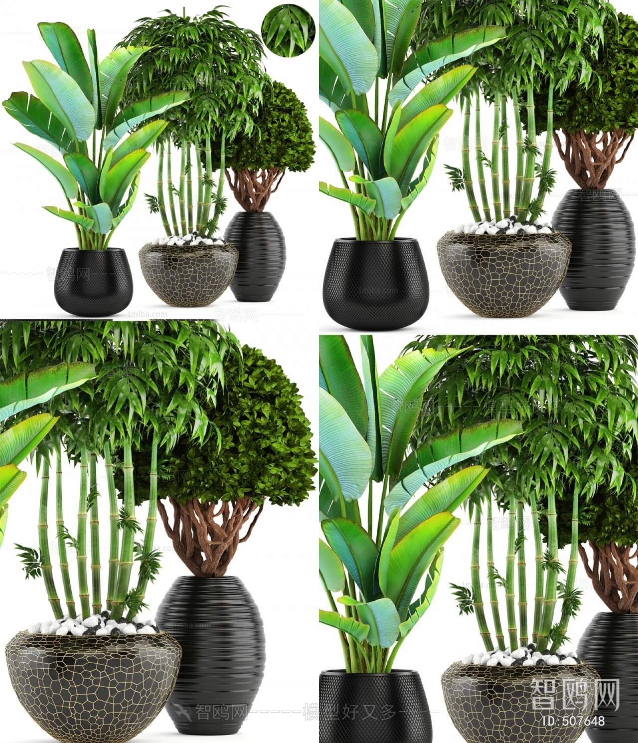 Modern Potted Green Plant