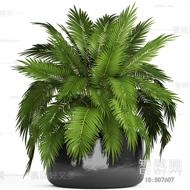 Modern Potted Green Plant