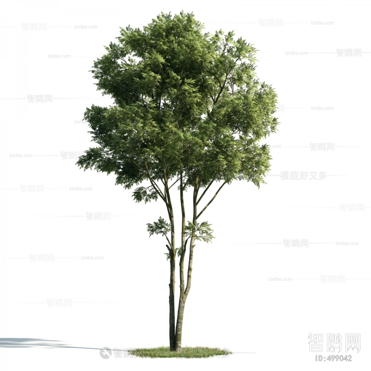 Modern Tree