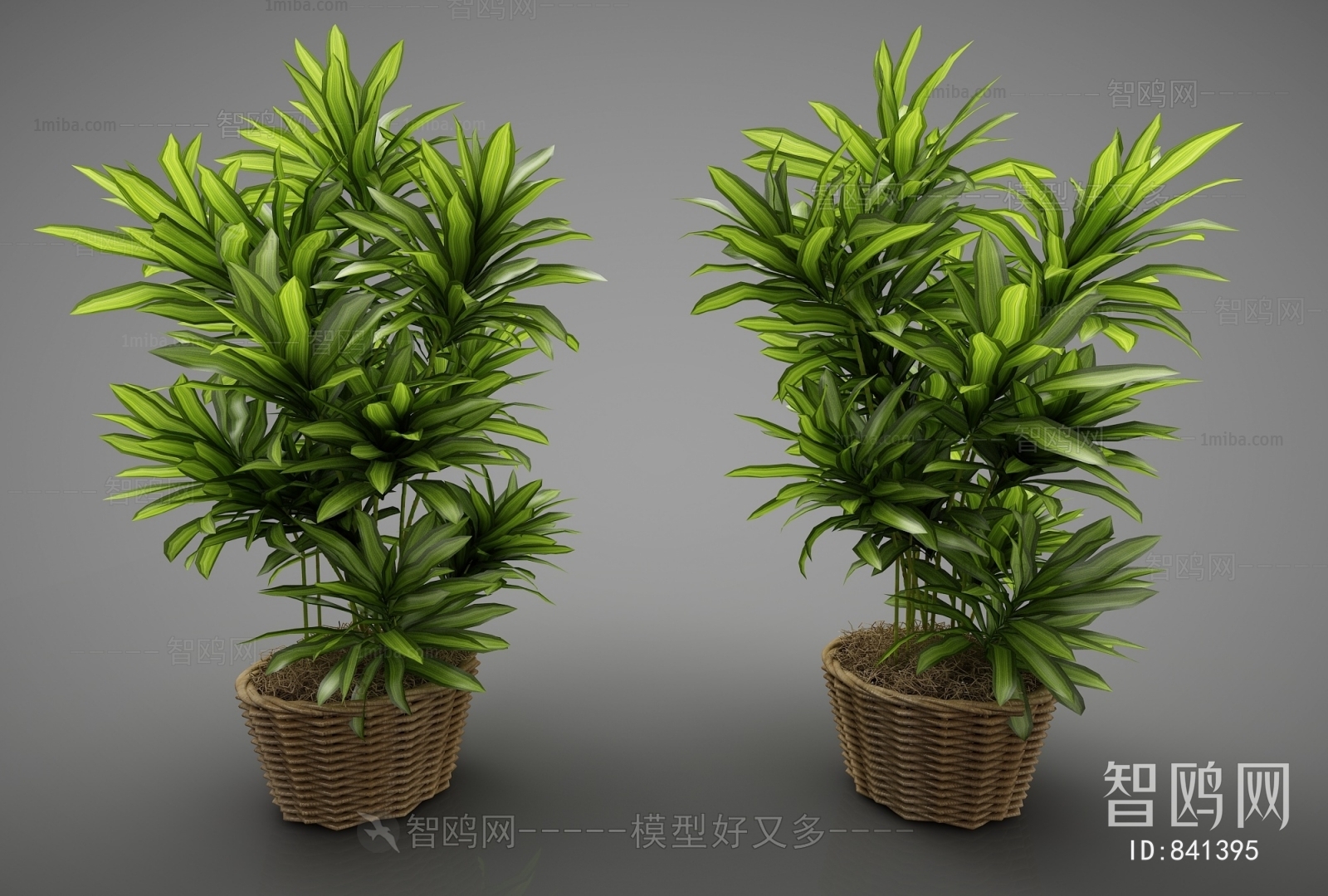 Modern Potted Green Plant