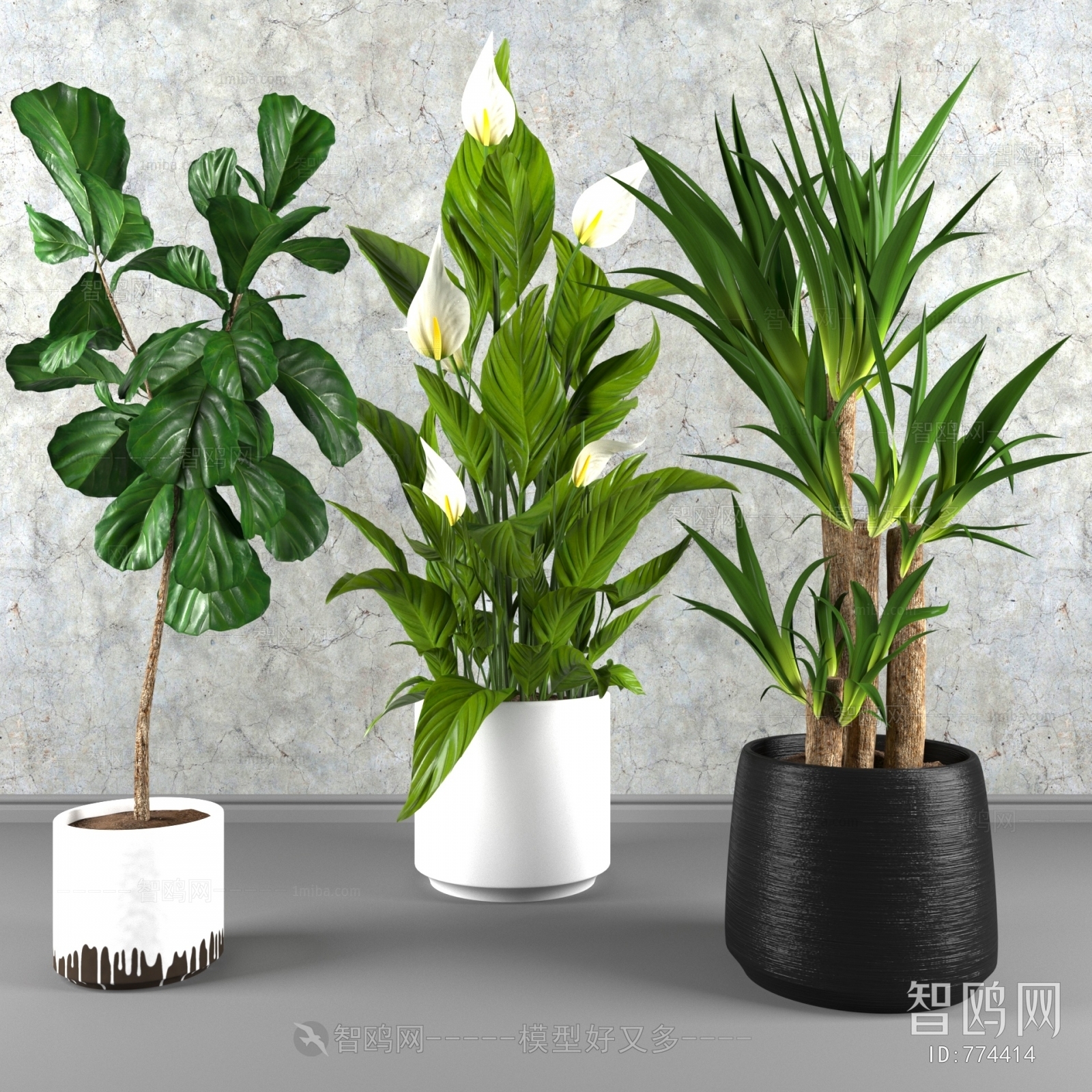 Modern Potted Green Plant