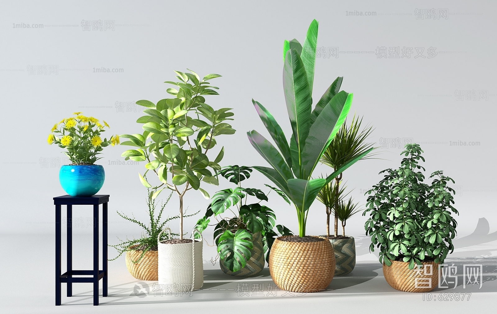 Modern Potted Green Plant