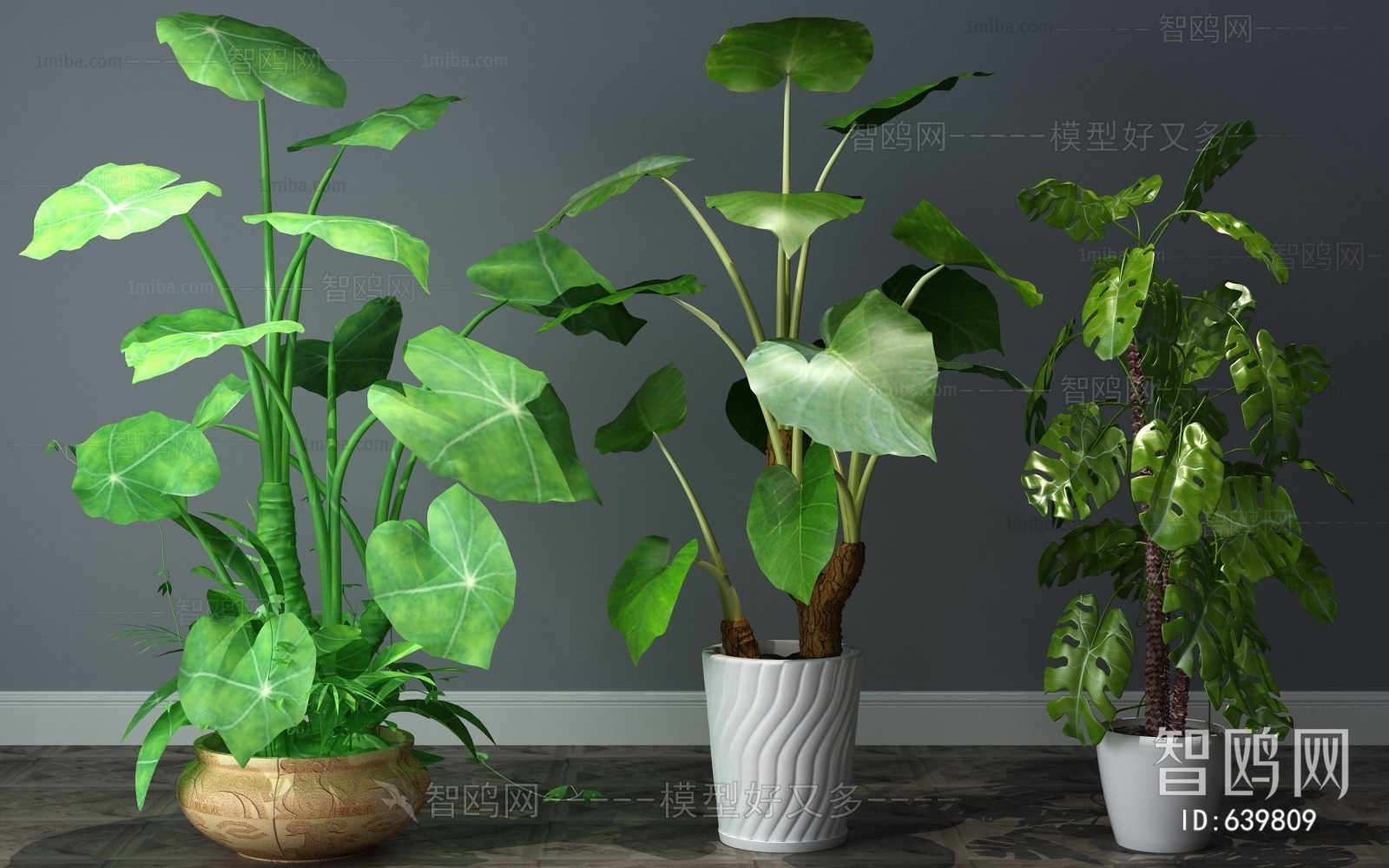 Modern Potted Green Plant