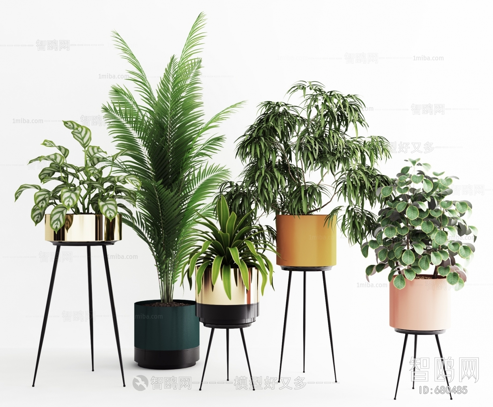 Modern Potted Green Plant