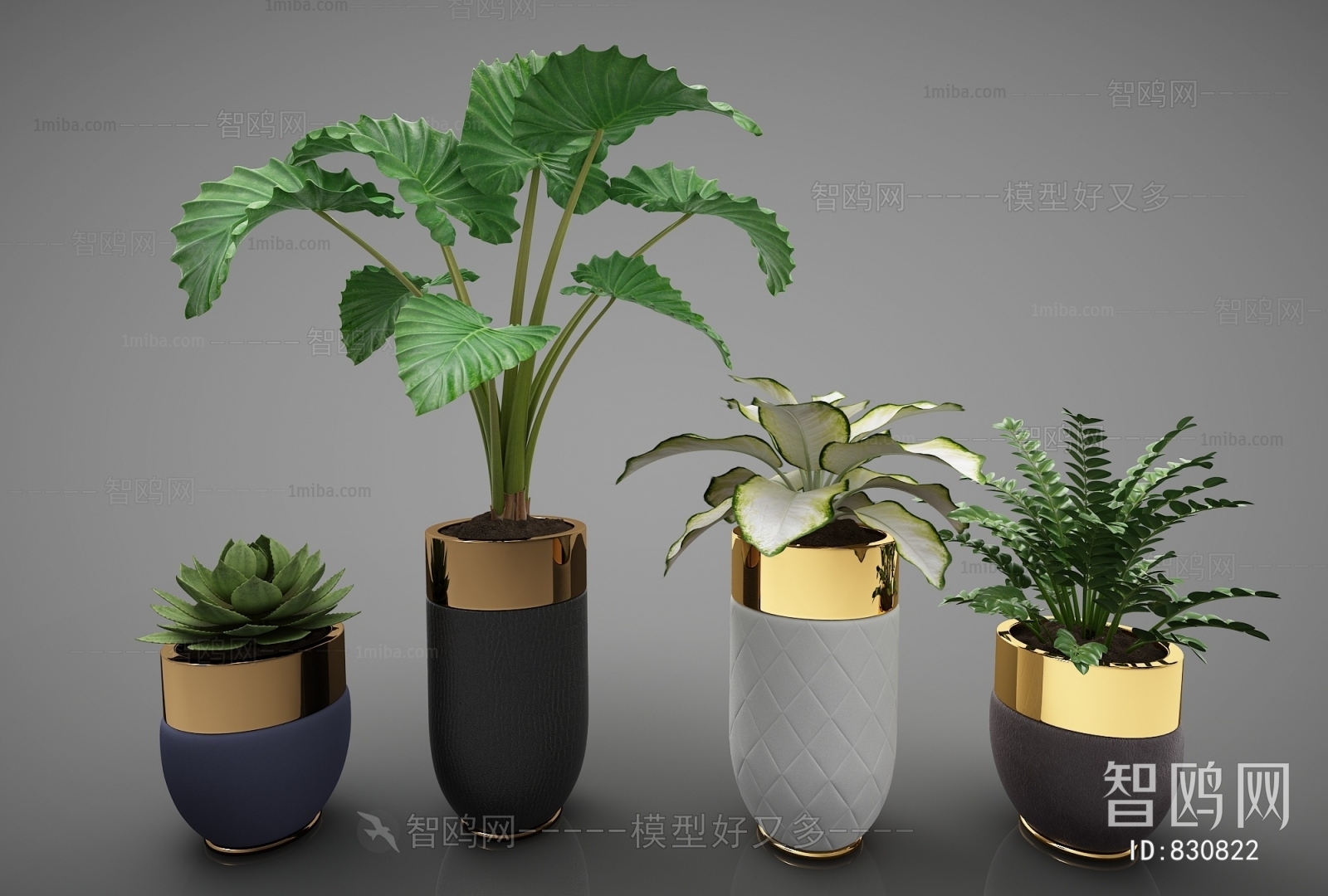 Modern Potted Green Plant