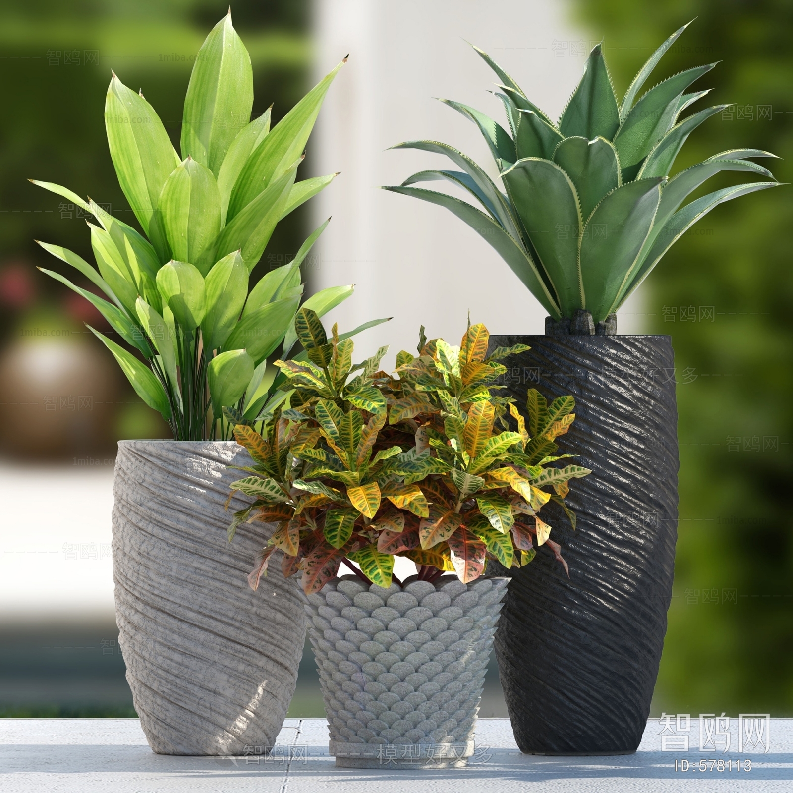 Modern Potted Green Plant