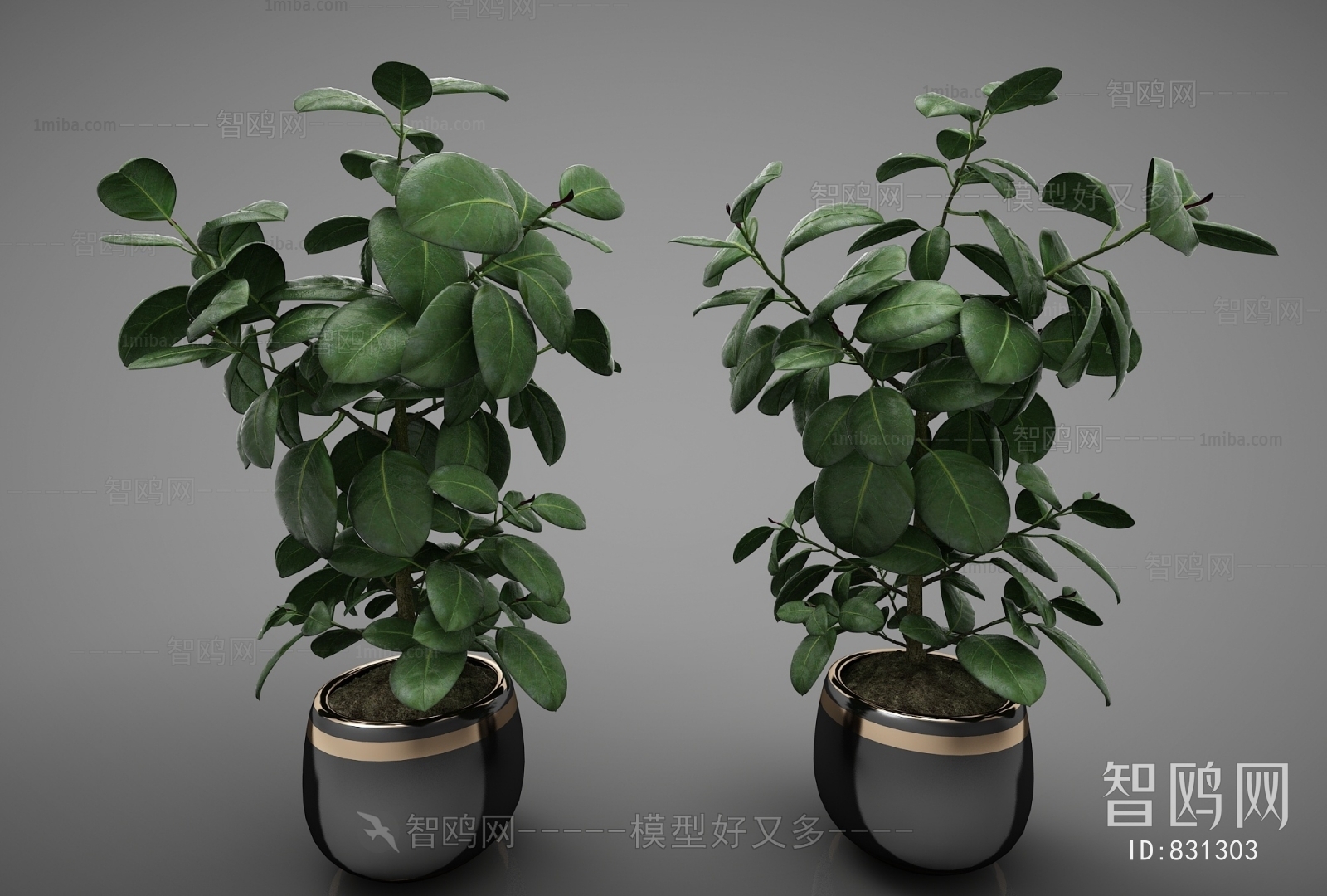 Modern Potted Green Plant