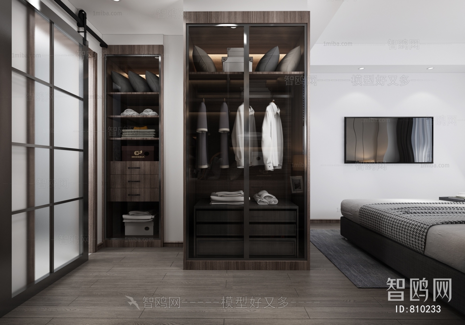 Modern Clothes Storage Area