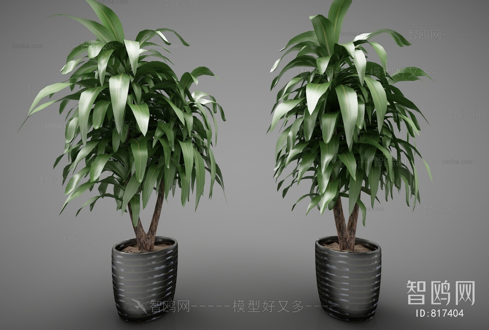 Modern Potted Green Plant