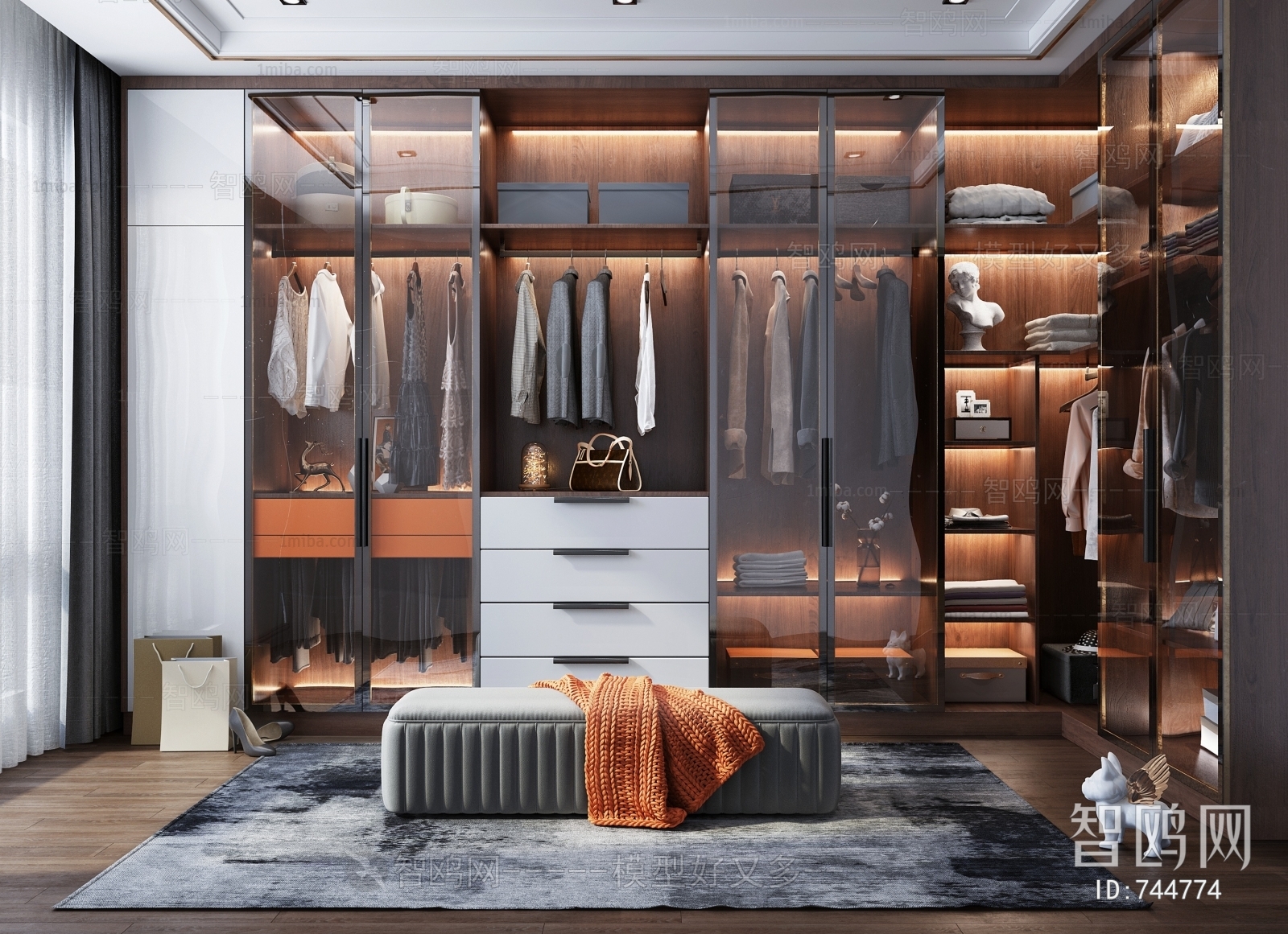 Modern Clothes Storage Area