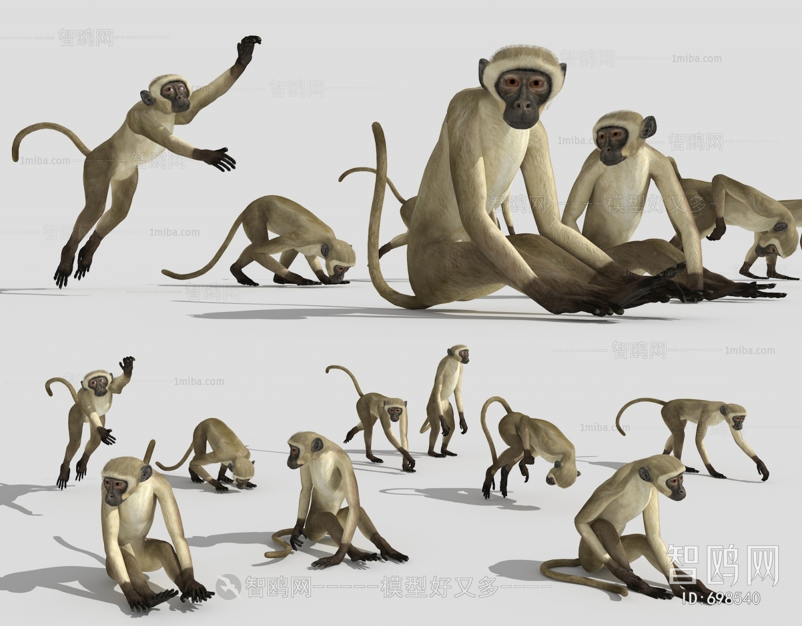 现代动物金丝猴