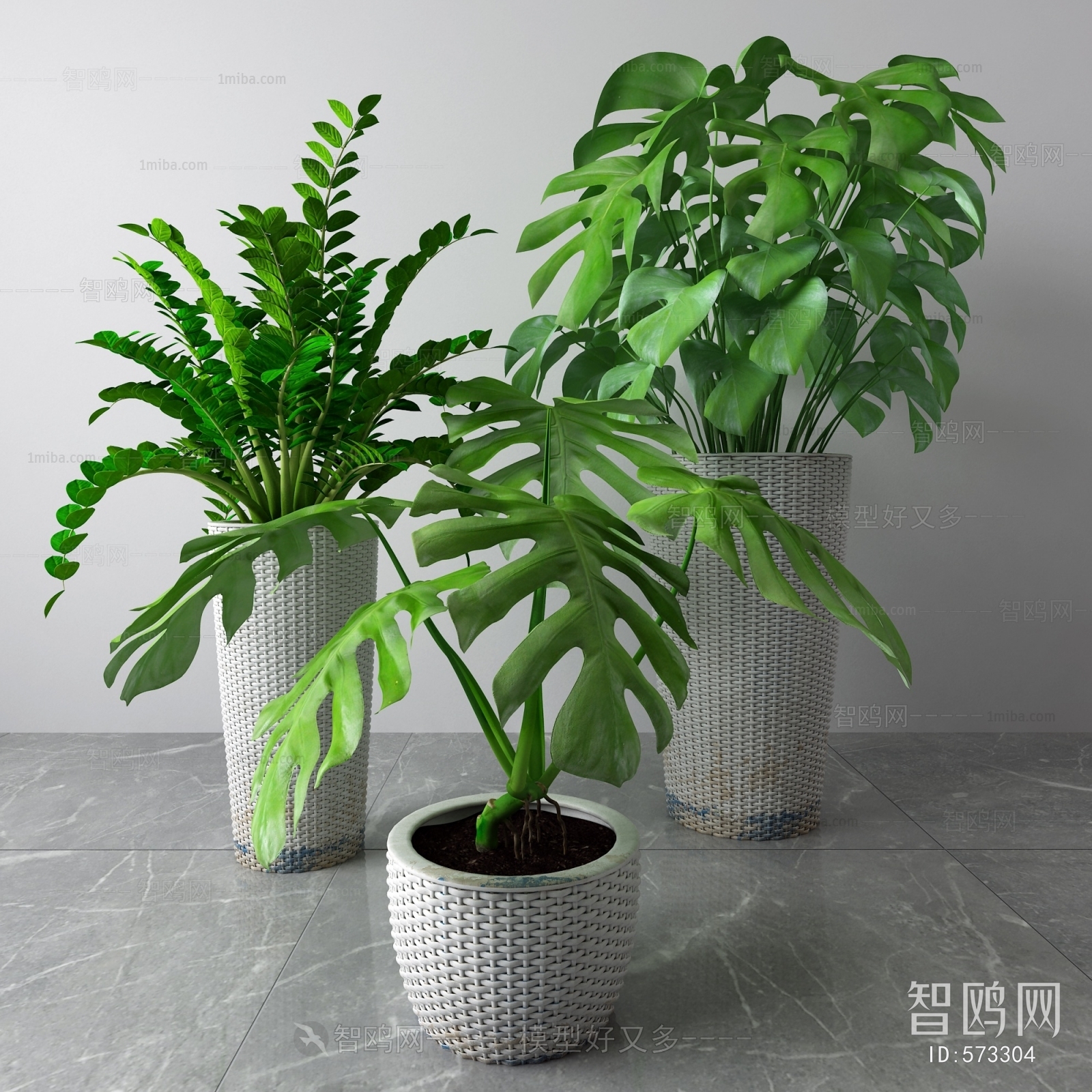 Modern Potted Green Plant