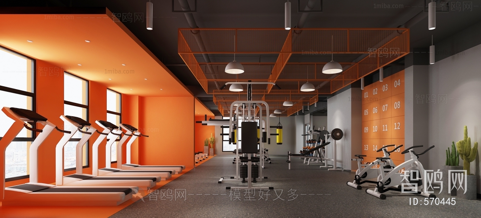 Modern Gym