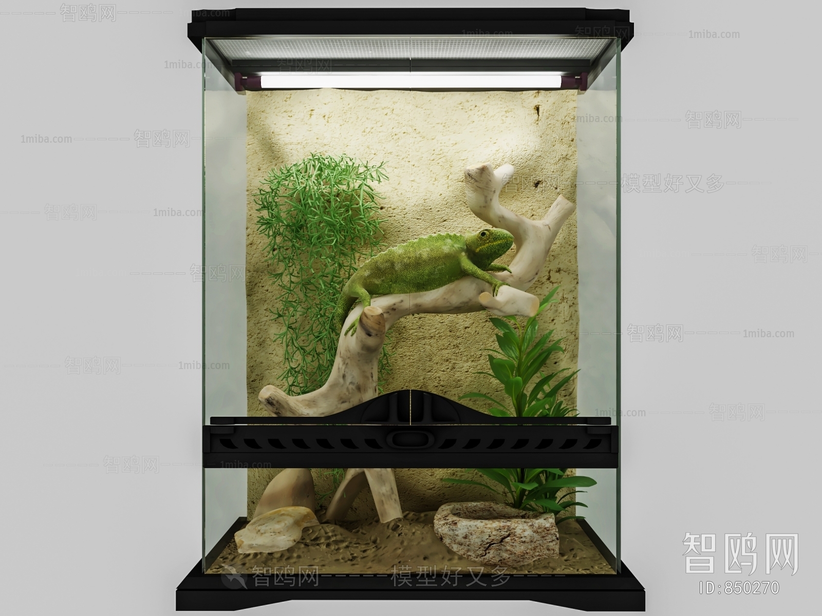 Modern Fish Tank