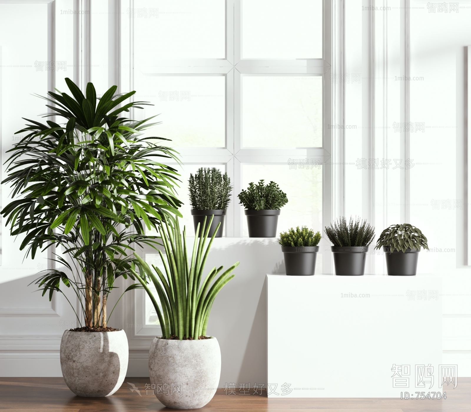 Modern Potted Green Plant