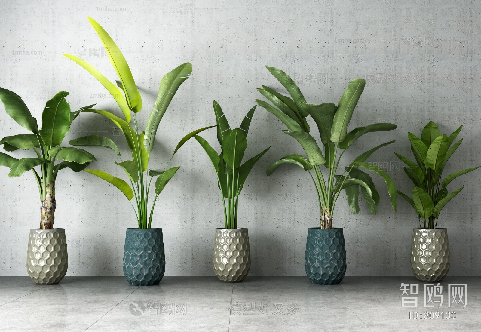 Modern Potted Green Plant