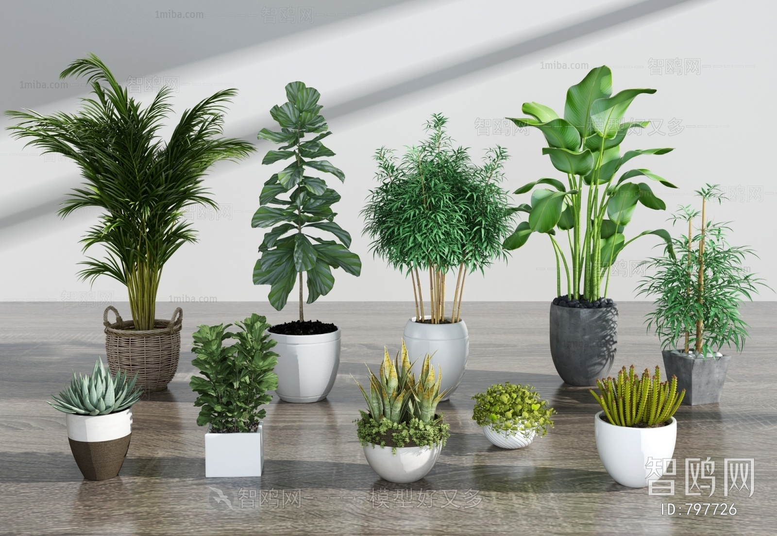 Modern Potted Green Plant