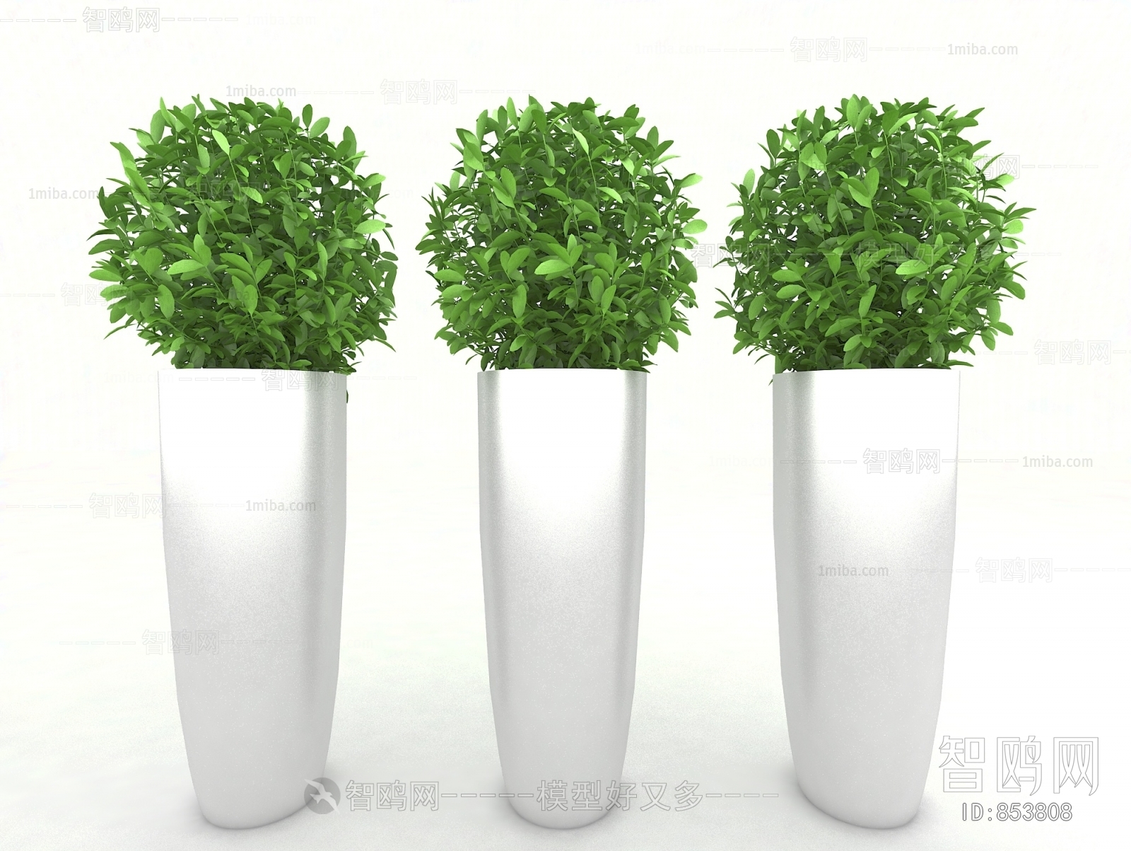 Modern Potted Green Plant