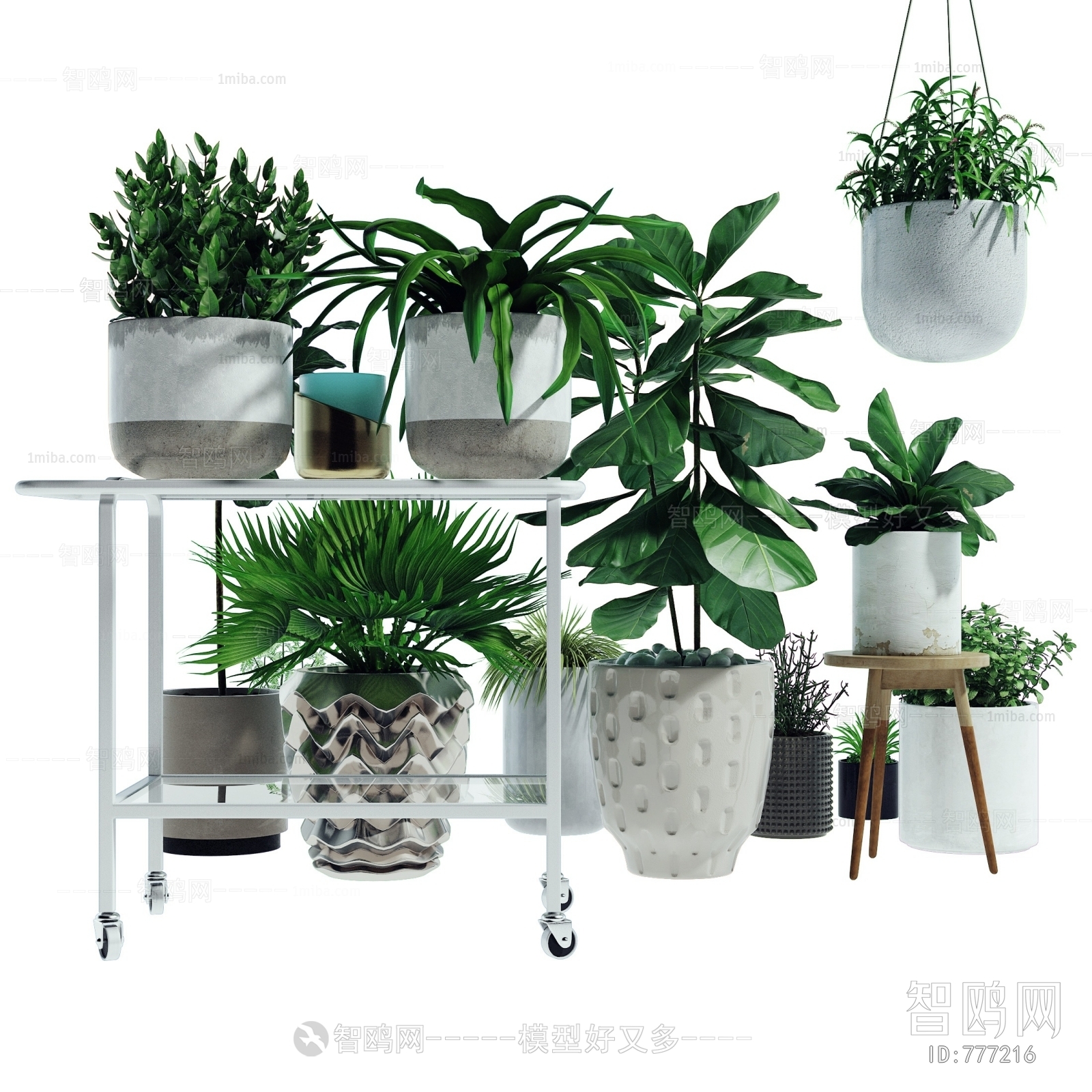 Modern Potted Green Plant