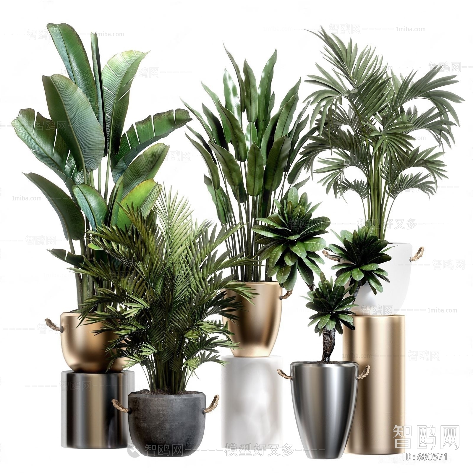 Modern Potted Green Plant