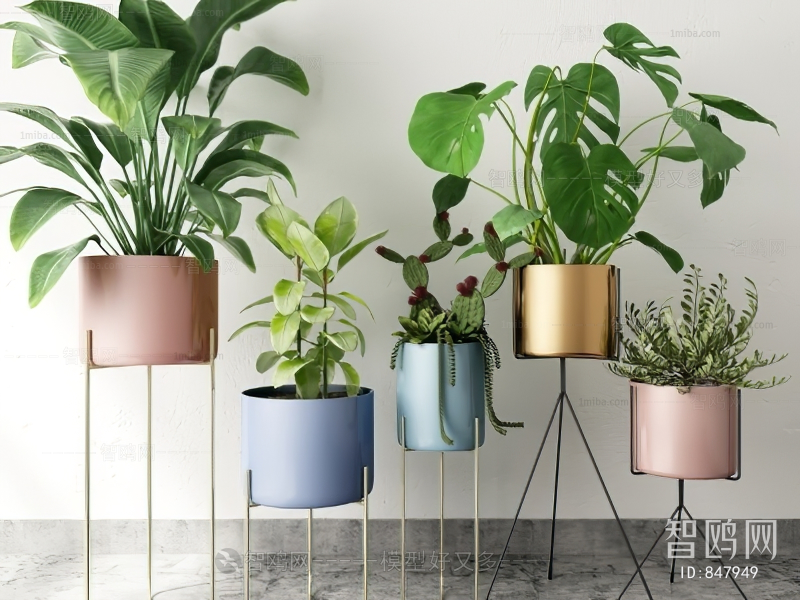 Modern Potted Green Plant