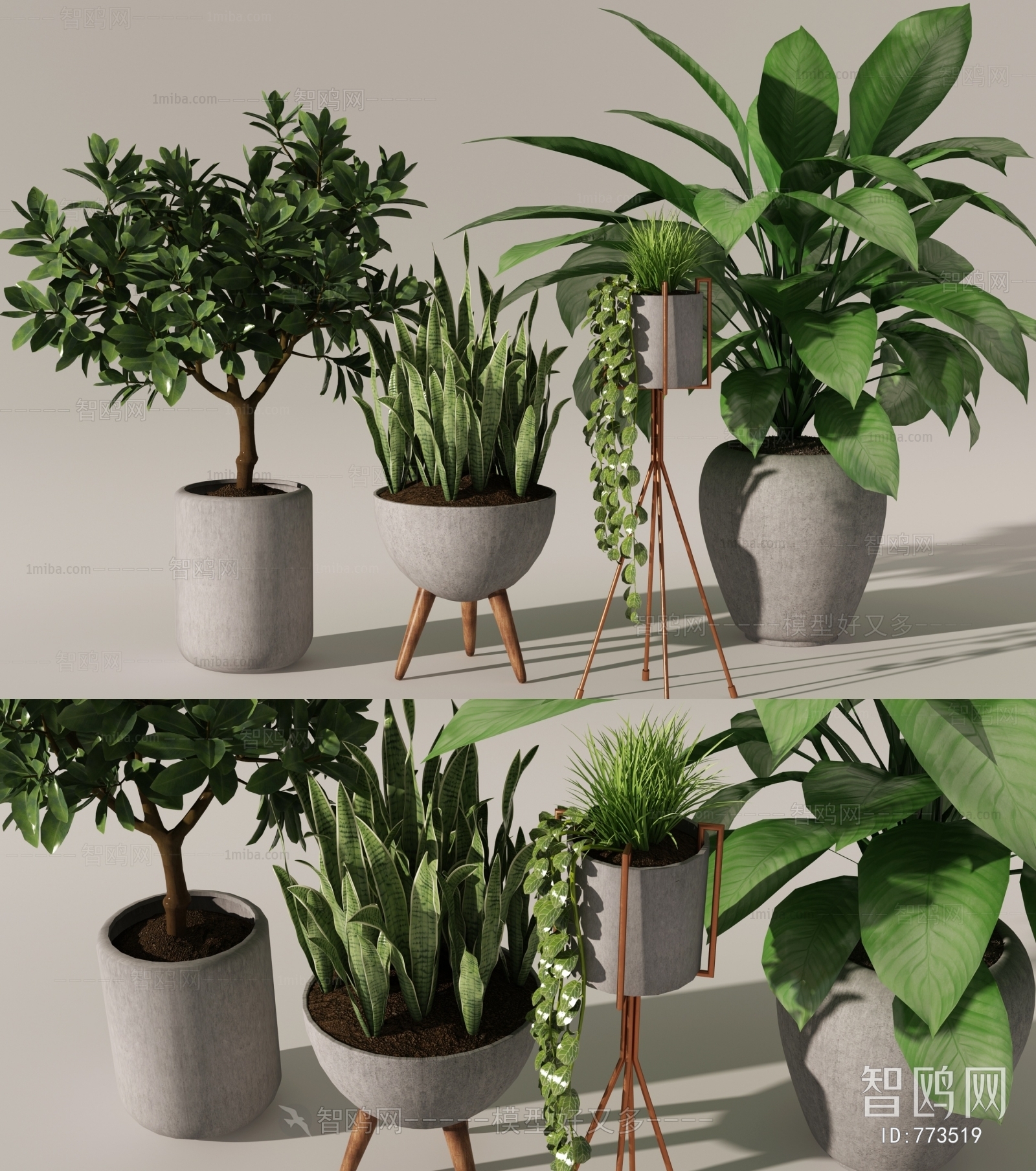 Modern Potted Green Plant