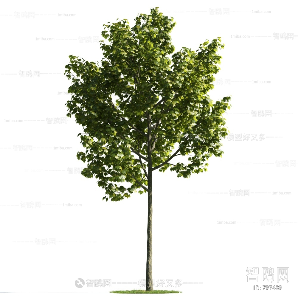 Modern Tree