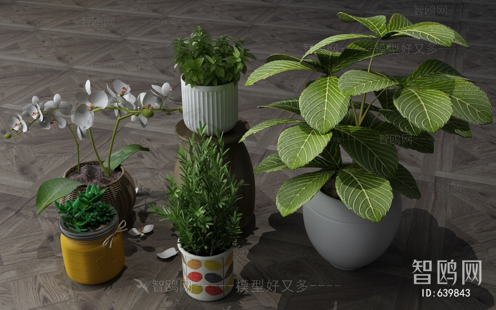 Modern Potted Green Plant